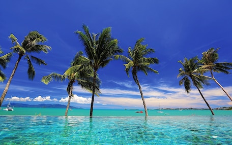 A clear blue sky, palm trees, and a calm sea with boats.