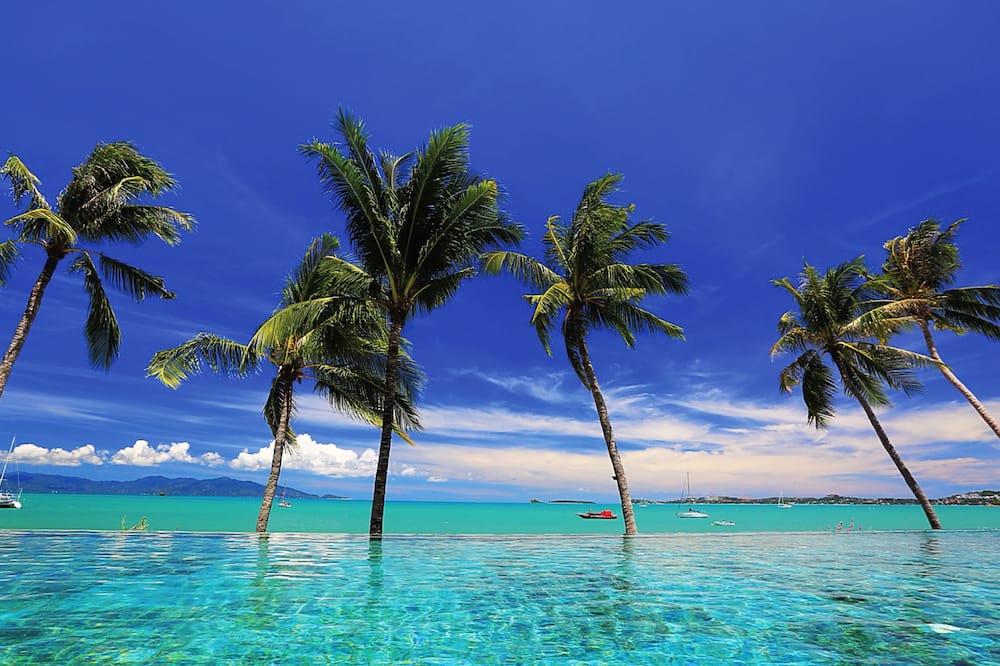 Celes Samui