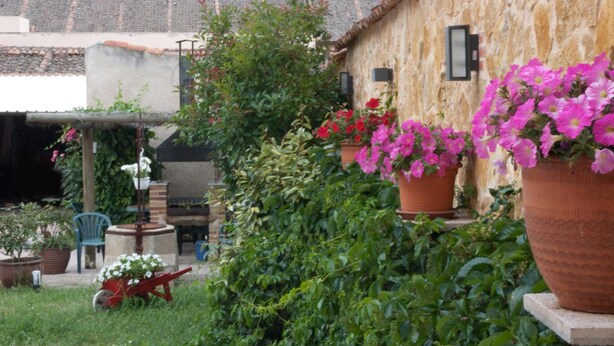 A rustic courtyard with potted plants, a red wheelbarrow, and a stone wall. - Villa Don Juan II (Segovia)