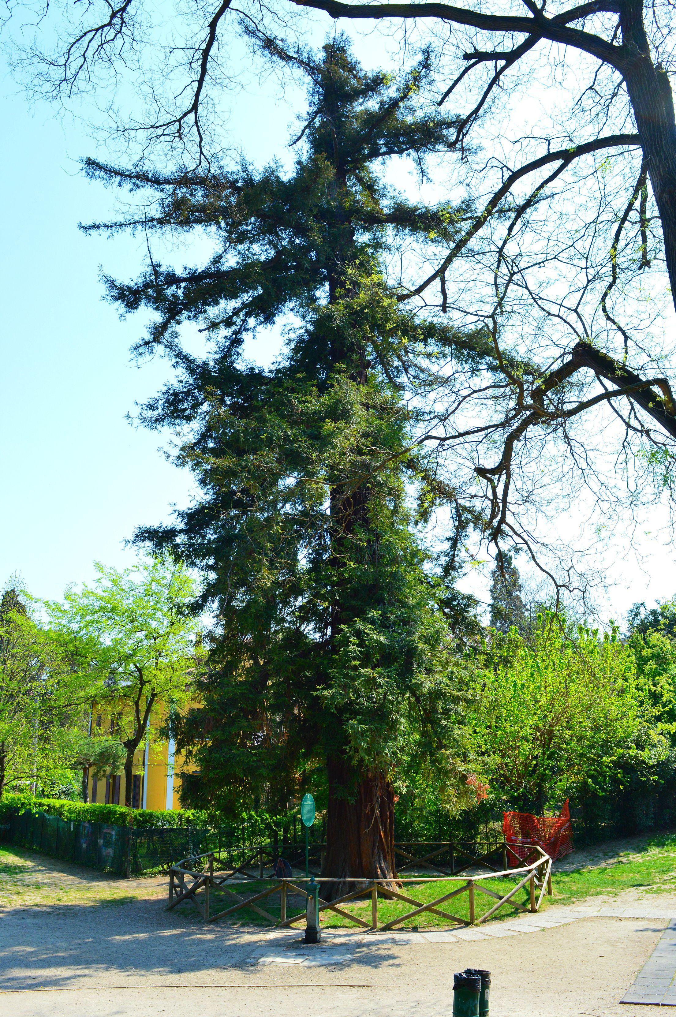 Foto - Il Giardino Nel Parco R&B