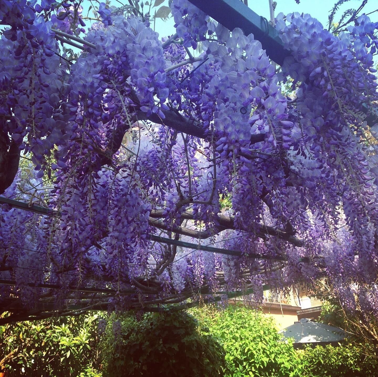 Foto - Il Giardino Nel Parco R&B