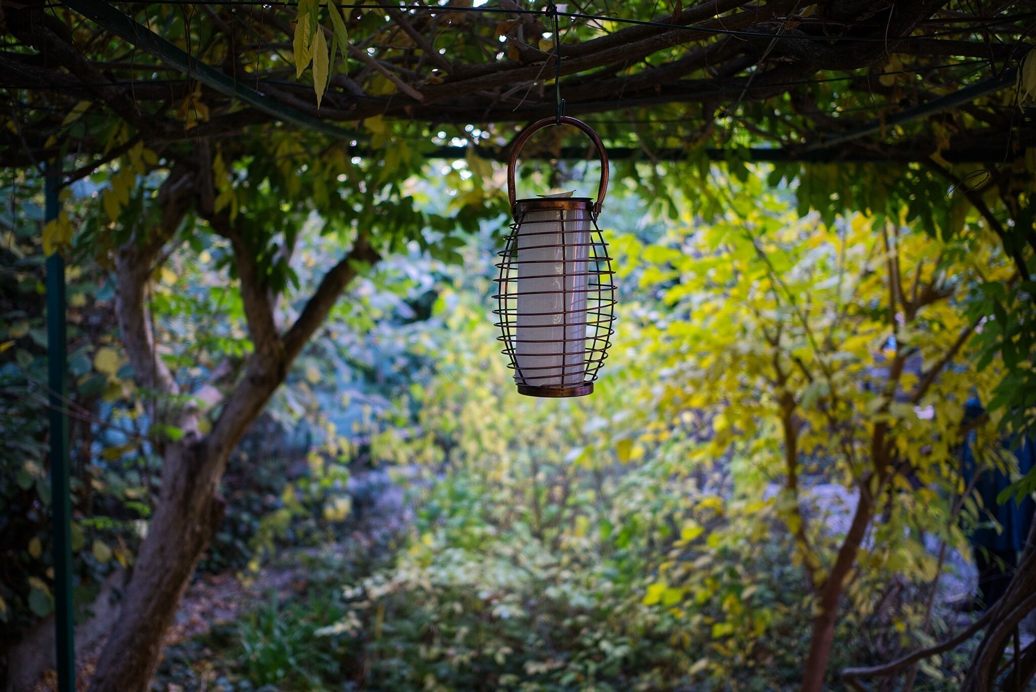 Foto - Il Giardino Nel Parco R&B