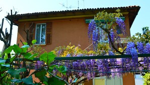 Une maison dotée d’un jardin où poussent des fleurs violettes et où se dresse une treille verte.