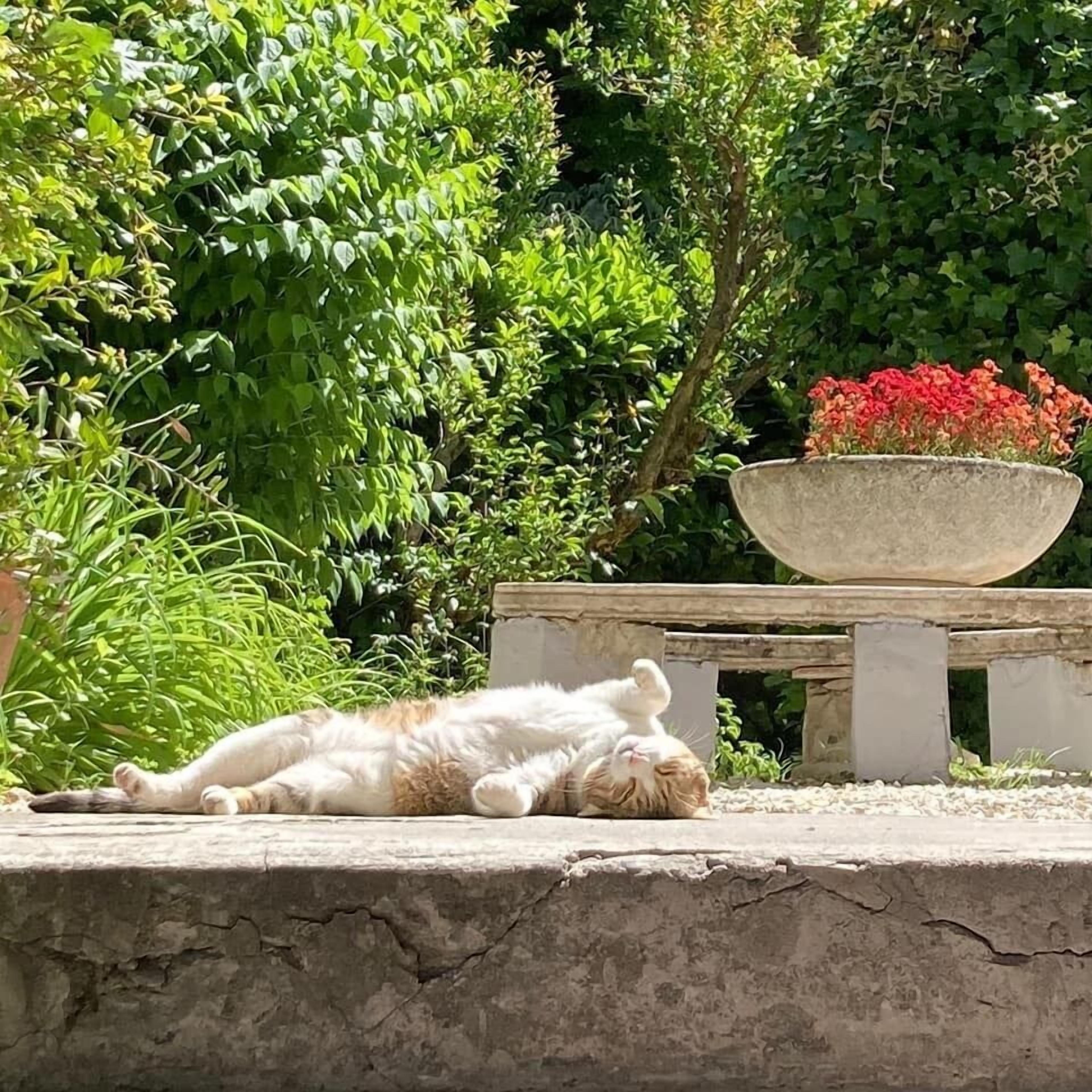 Foto - Il Giardino Nel Parco R&B