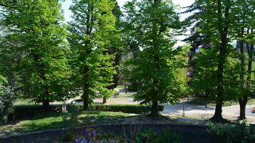 Vista desde la propiedad