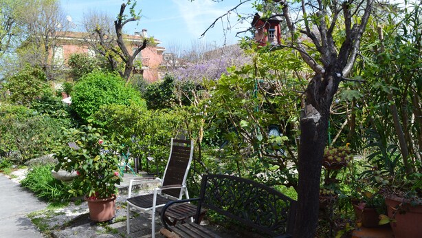 Un jardin avec un banc, des plantes en pot et un arbre.
