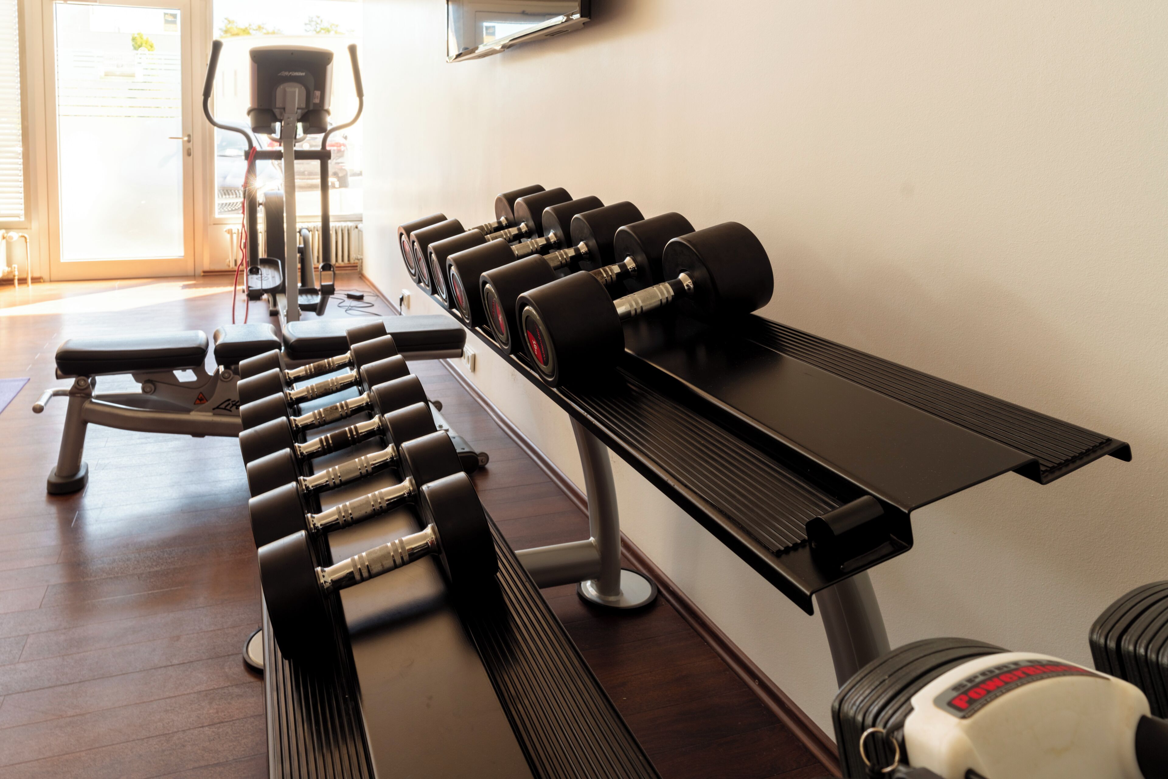 A gym with a bench, dumbbells, and a treadmill.