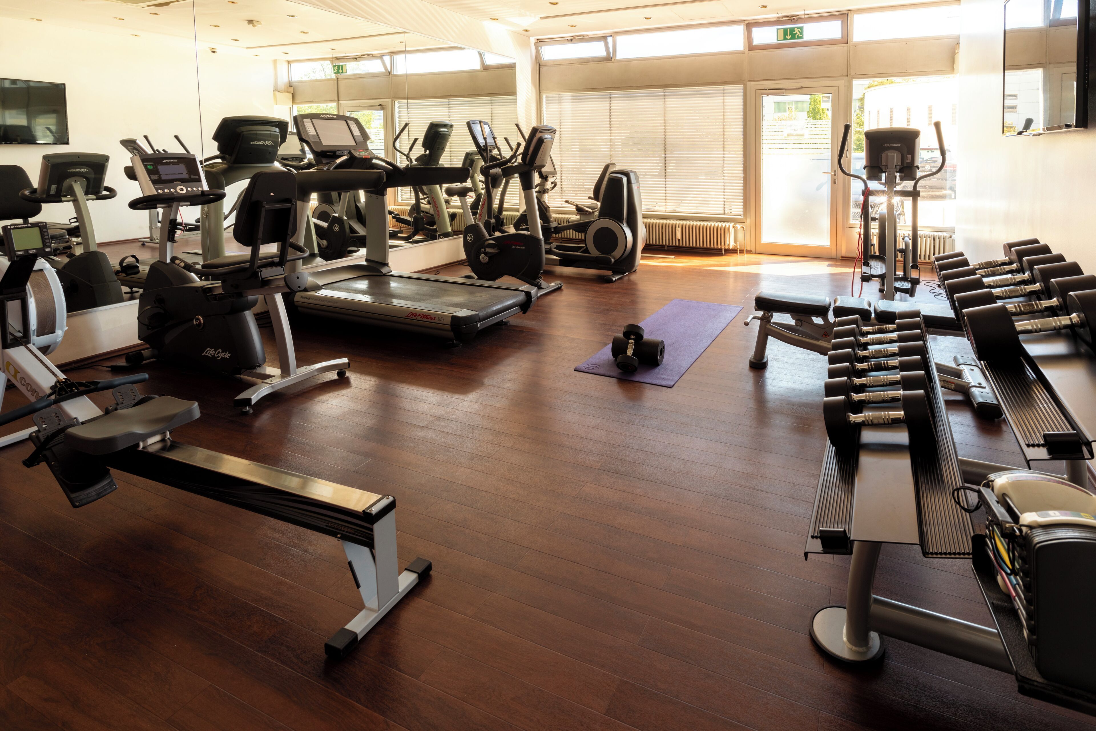 Un gimnasio con cintas de correr, elípticas y bancos de pesas.