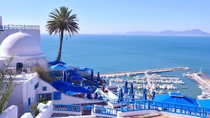 A coastal view with a marina, white buildings with blue accents, and a palm tree. - Hotel TEJ (Tunis)