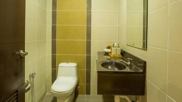 Un baño pequeño y estrecho con inodoro, lavabo y espejo.