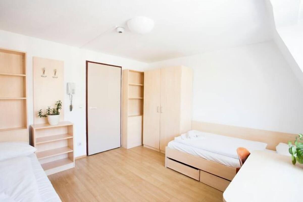 A bedroom with a bed, a desk, a chair, a wardrobe, and a plant.
