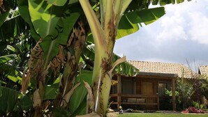 Immagine non classificata, 5 di 22, pulsante