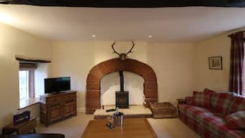 Una sala de estar acogedora con una chimenea de piedra, un televisor sobre un mueble de madera, un sofá a cuadros y una mesa con una botella y vasos.