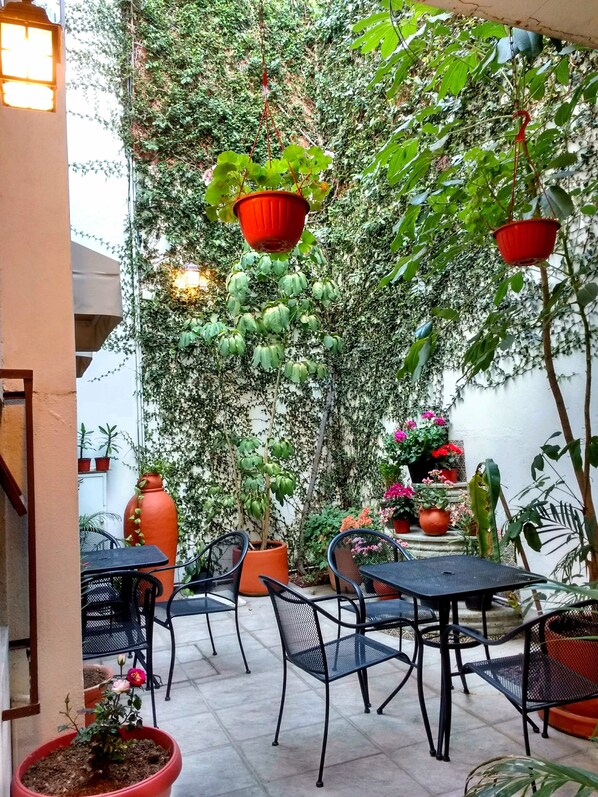 Terrace/patio - Hostal las Americas - Hostel (Oaxaca)