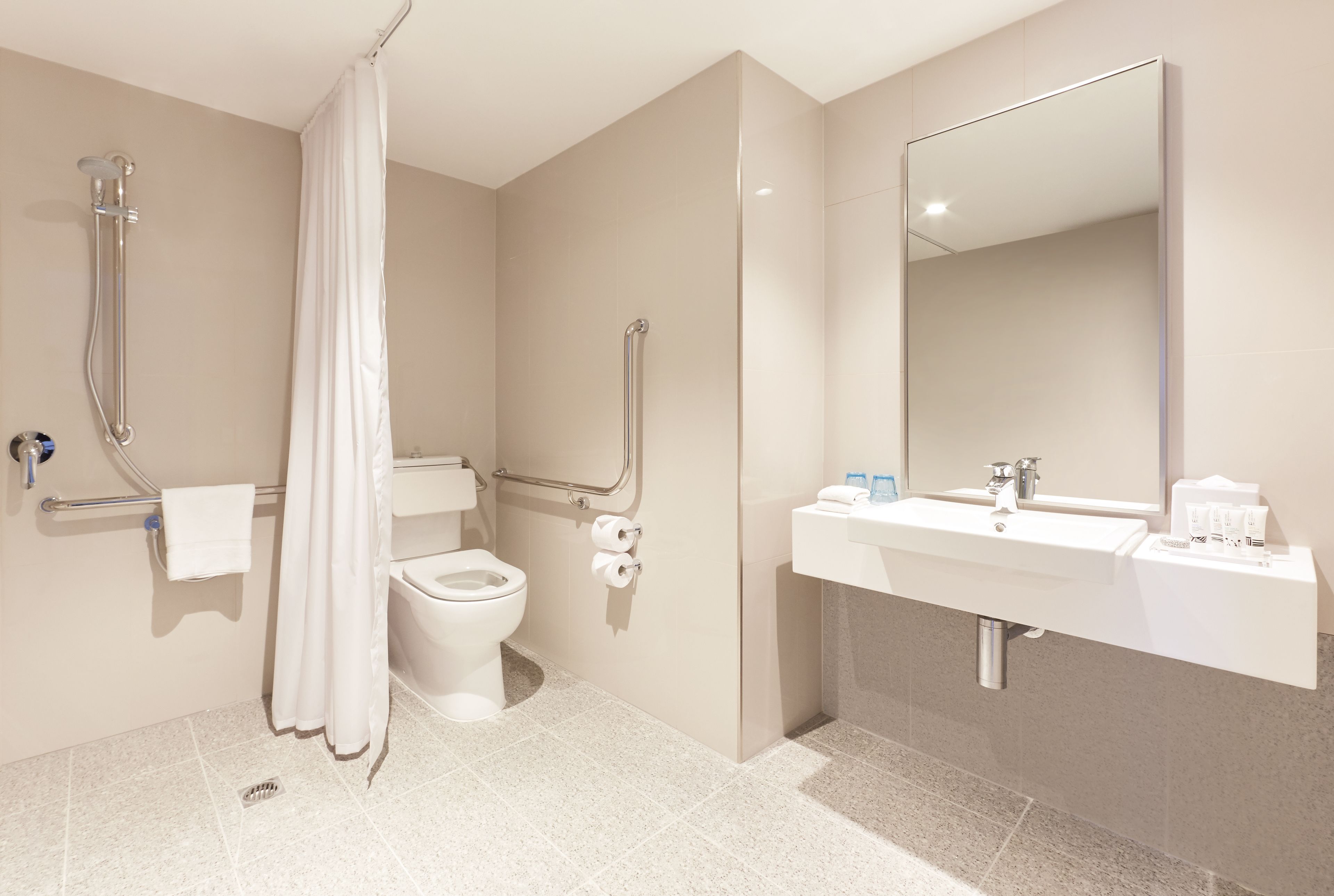 standard room, 1 queen bed, accessible | bathroom | shower, rainfall showerhead, eco-friendly toiletries, hair dryer