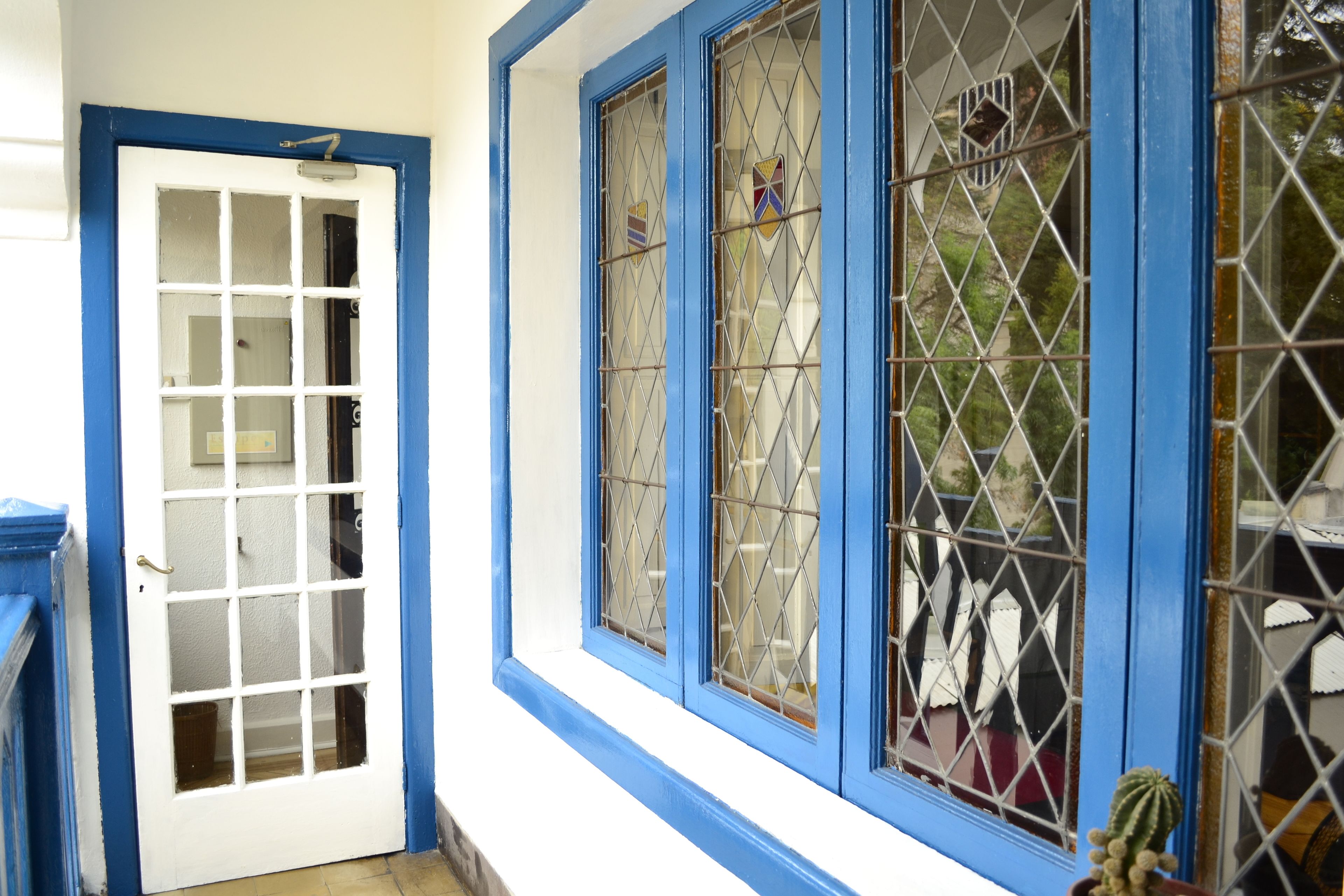 A room with a white door and blue trim, a window with a diamond-patterned grille, and a small cactus plant on the windowsill.