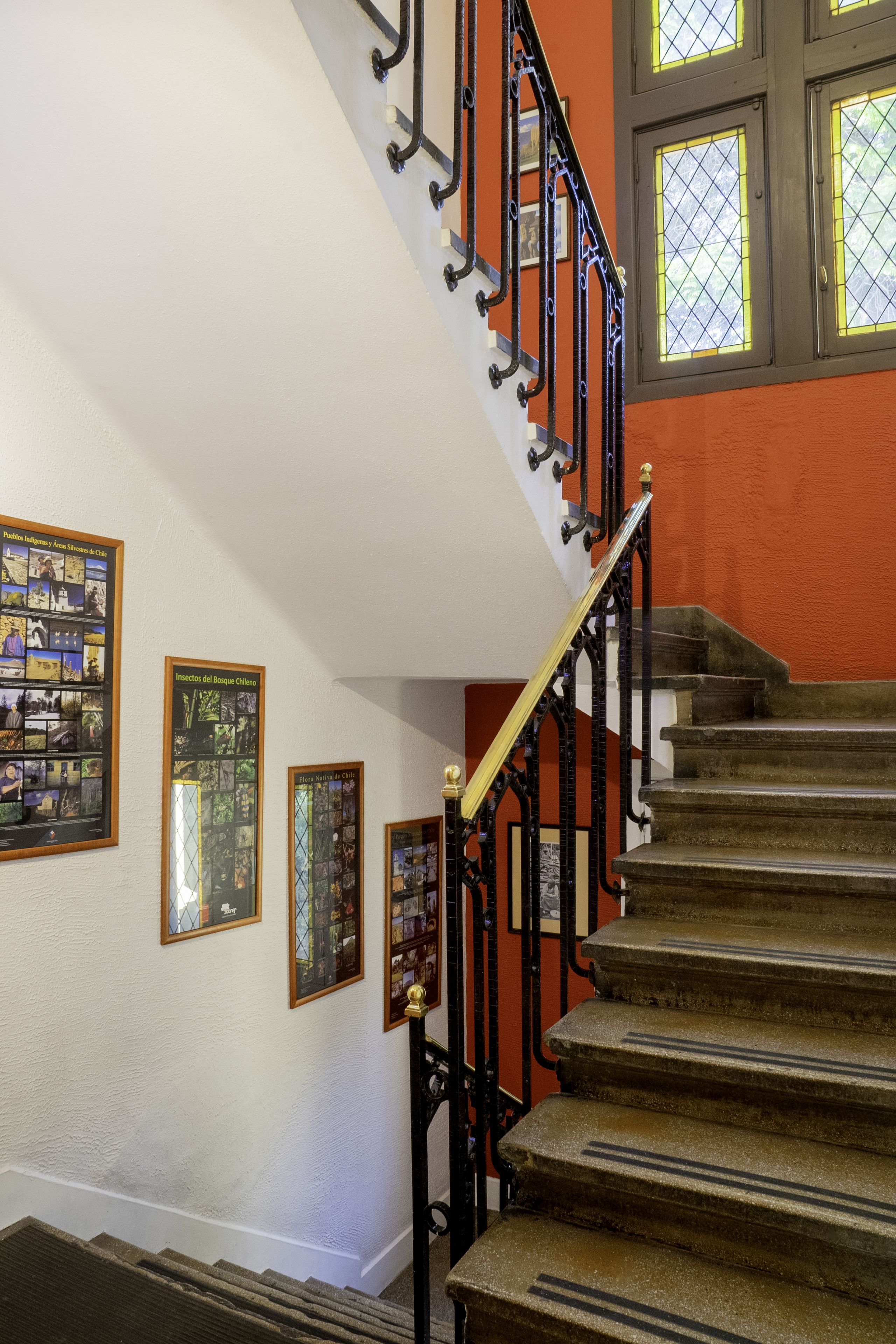 Foto - Hostal Rio Amazonas