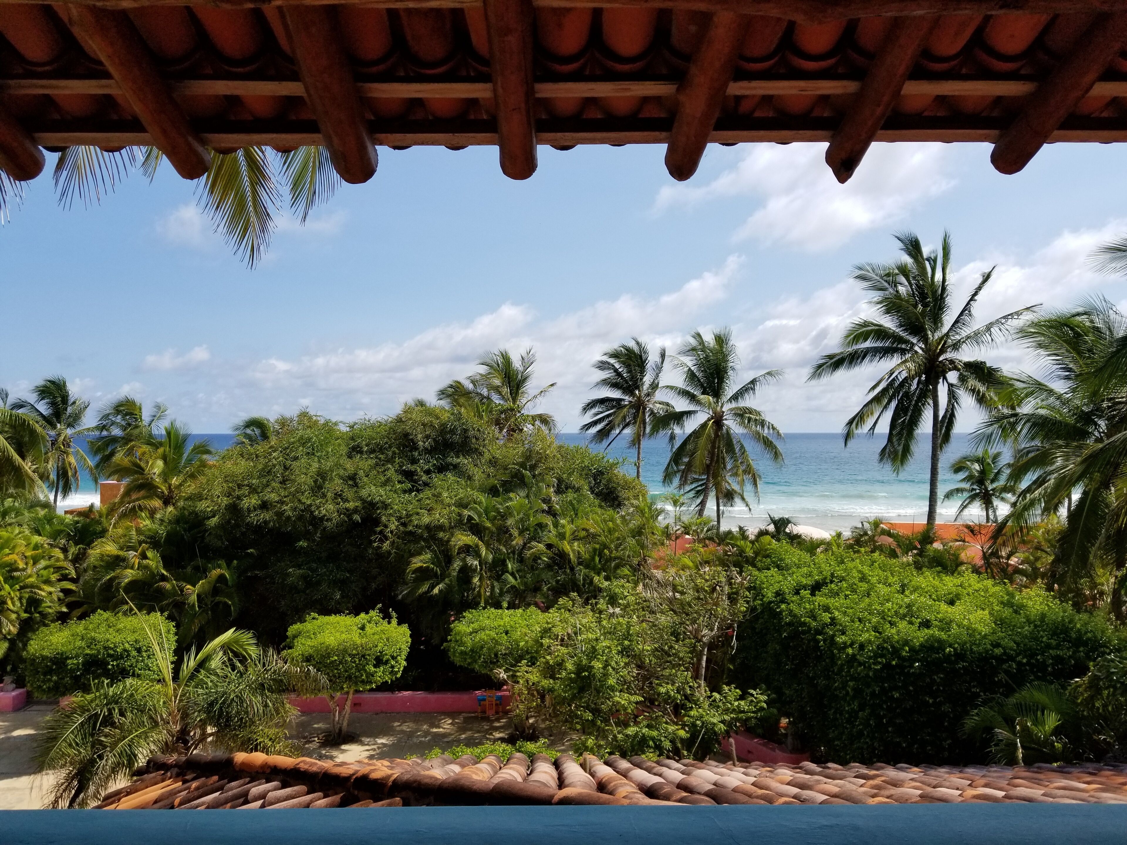 A view from a covered area overlooking a beach with palm trees and a clear sky.