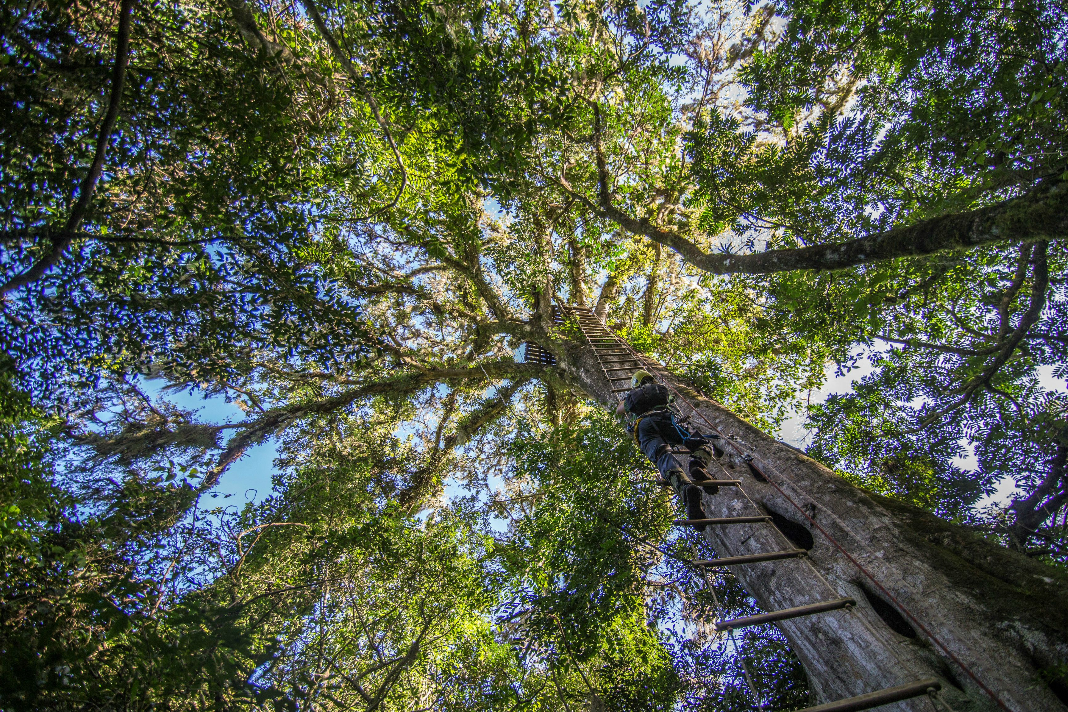 outdoor rock climbing
