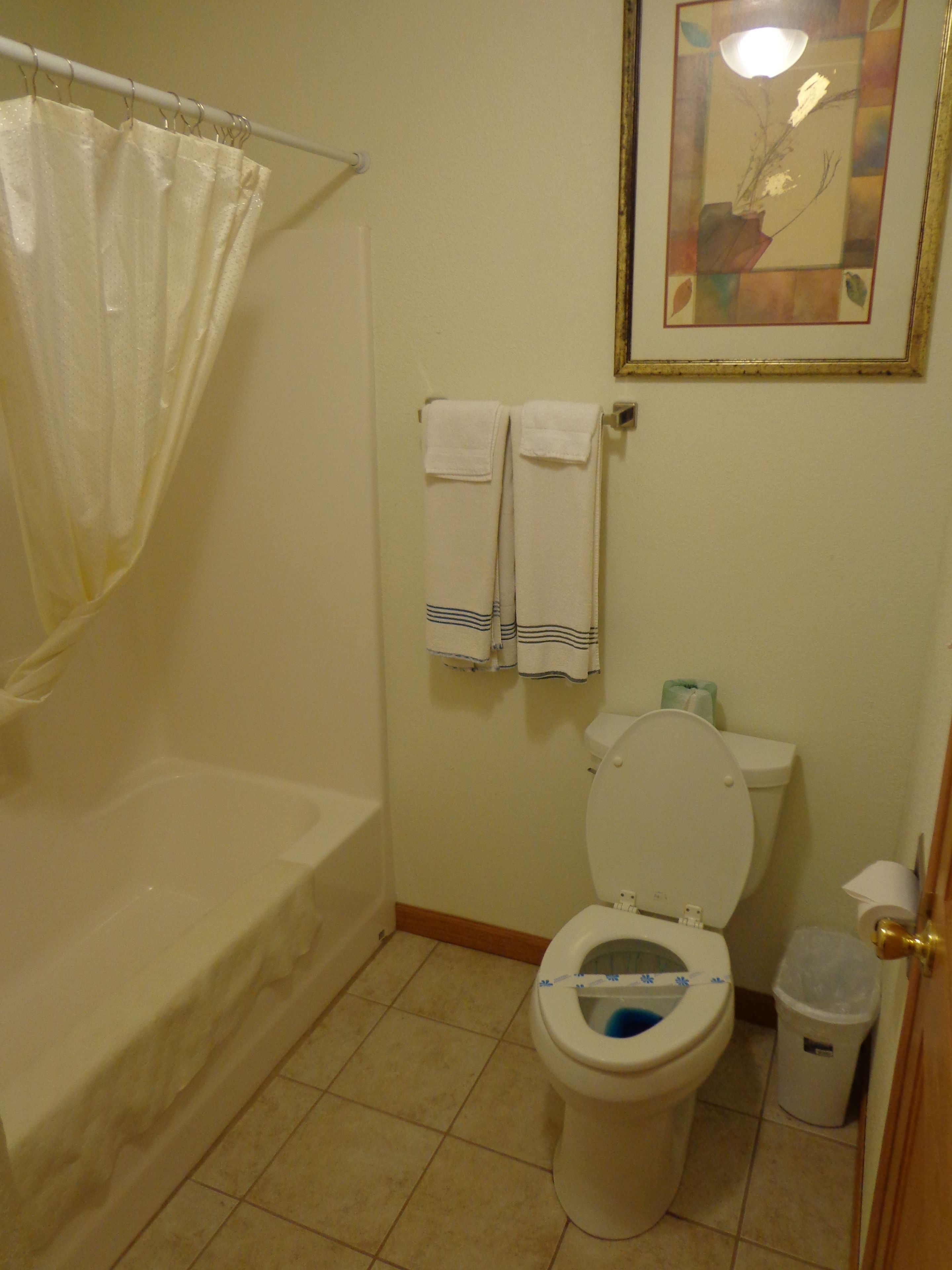 Combined shower/tub, free toiletries, towels