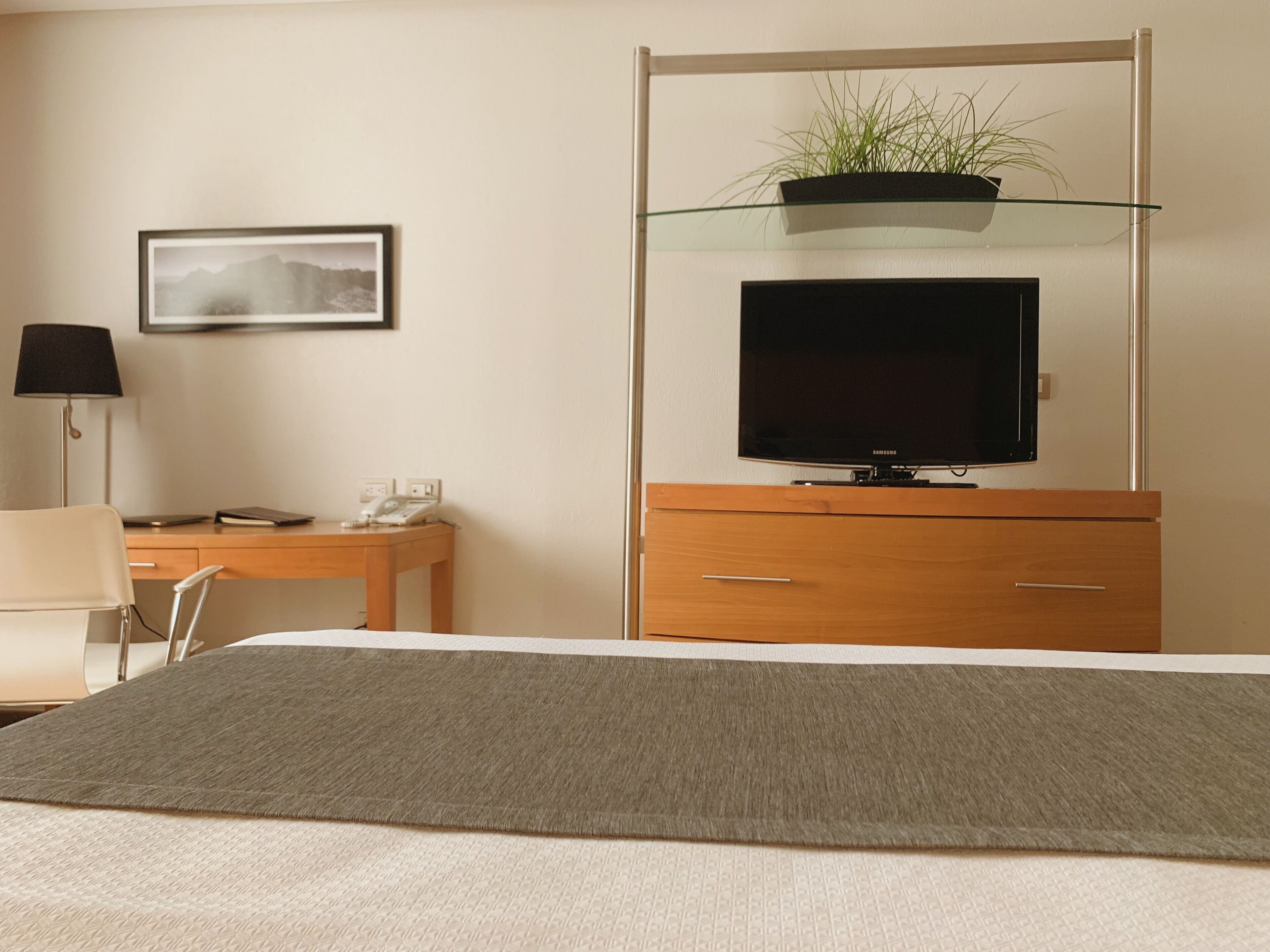 standard room, 1 king bed | television