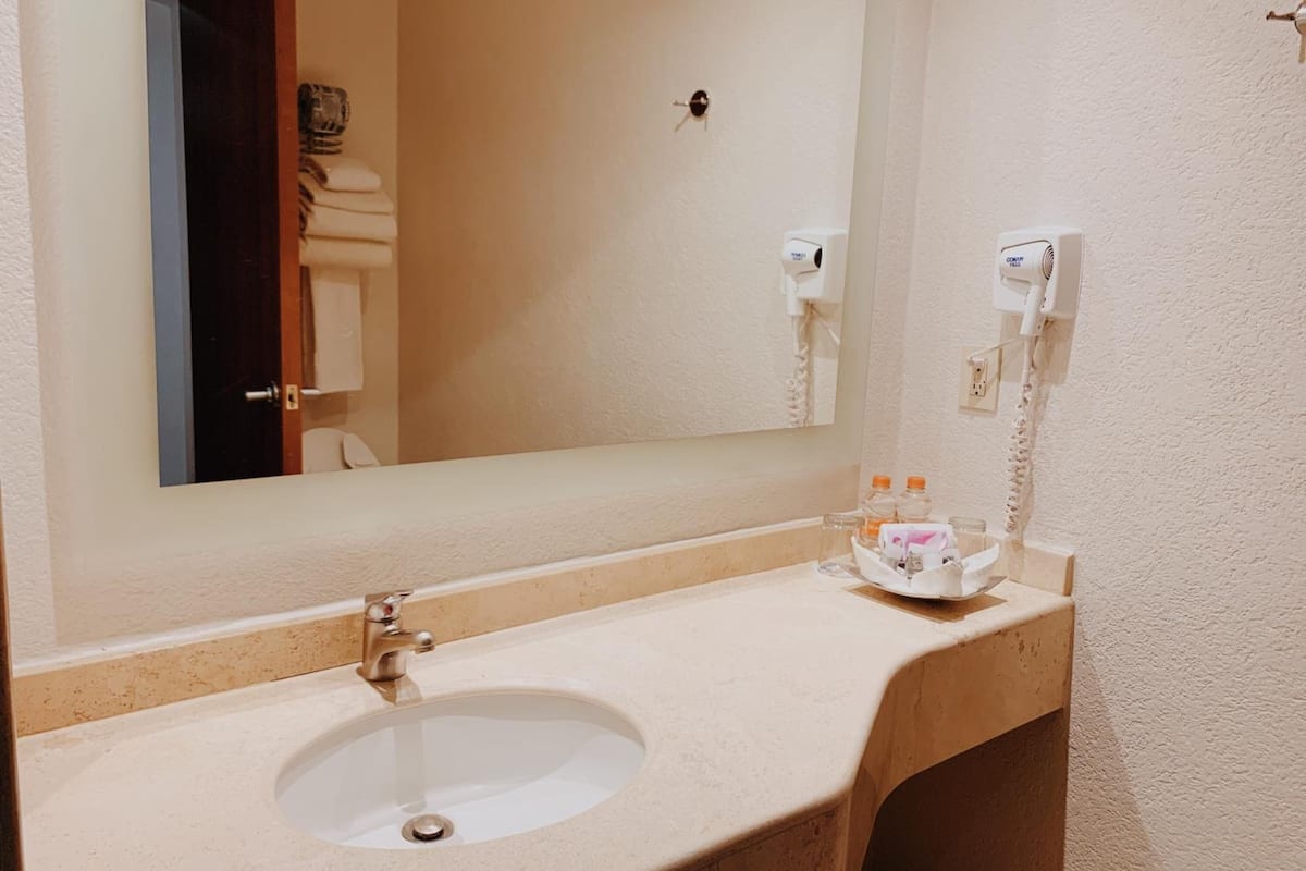 shower, free toiletries, hair dryer, towels