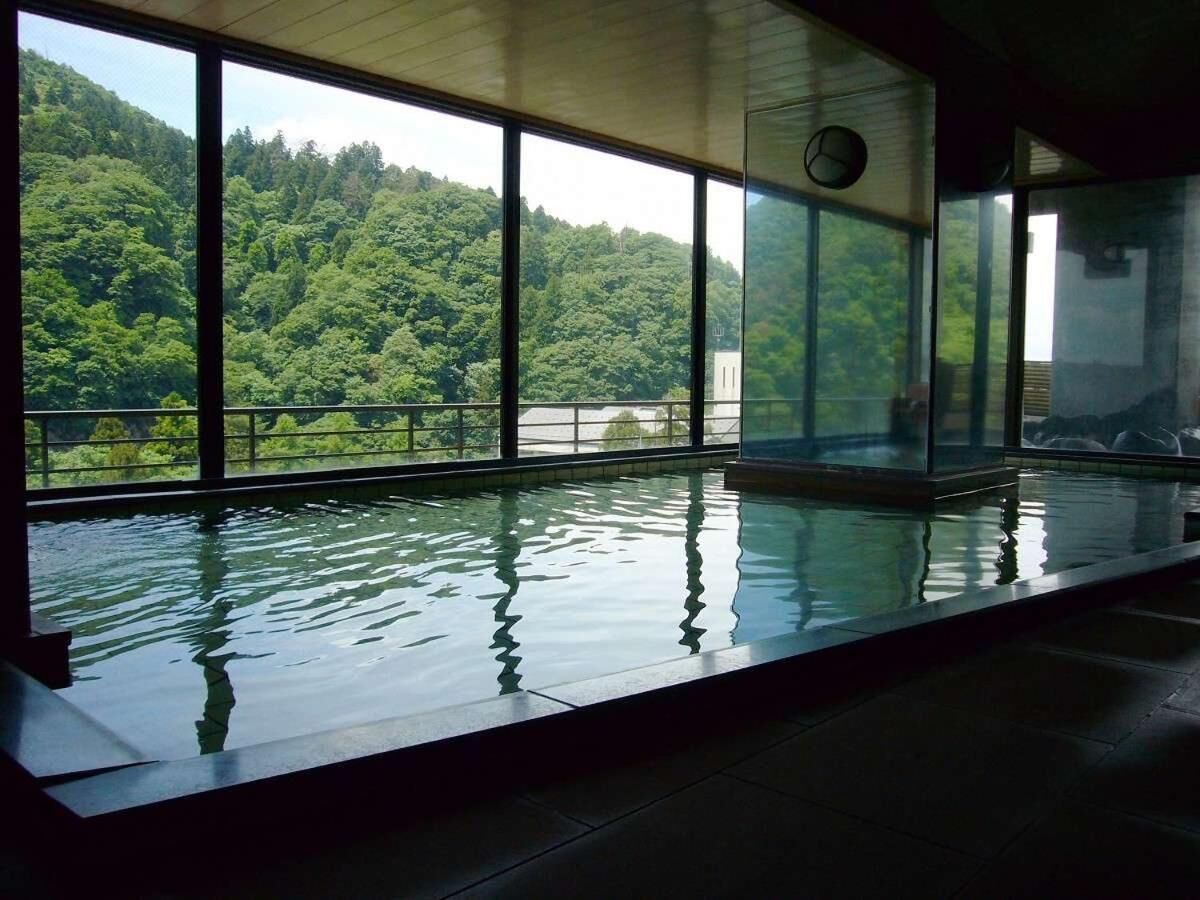 Una piscina interior amb grans finestres que donen vista a una vessant boscosa.