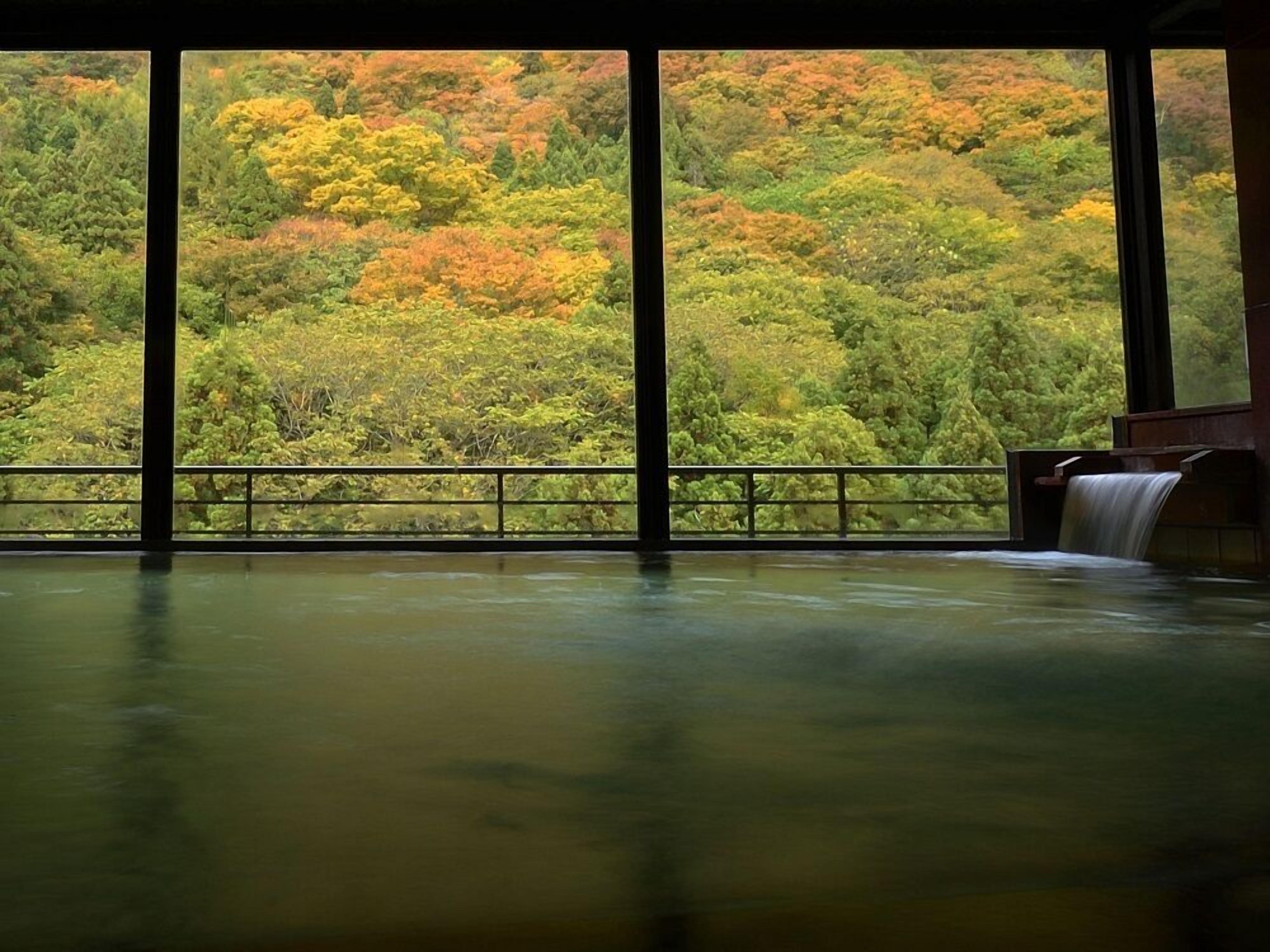 Un espace spa offrant une vue sur une colline boisée.