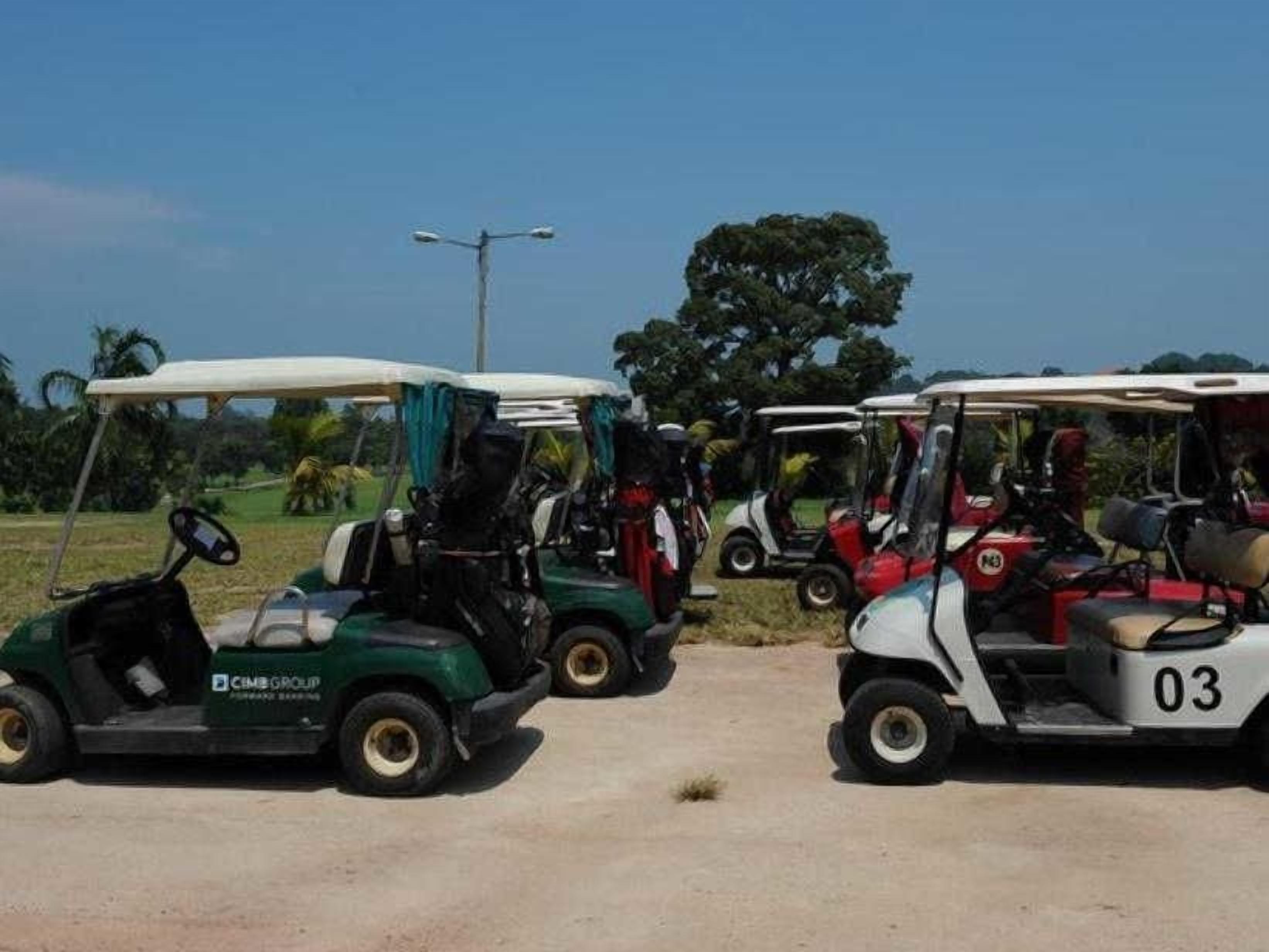 A row of golf carts parked on a dirt path with a clear sky and trees in the background.