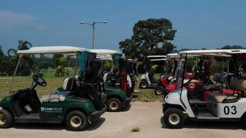A row of golf carts parked on a dirt path with a clear sky and trees in the background.