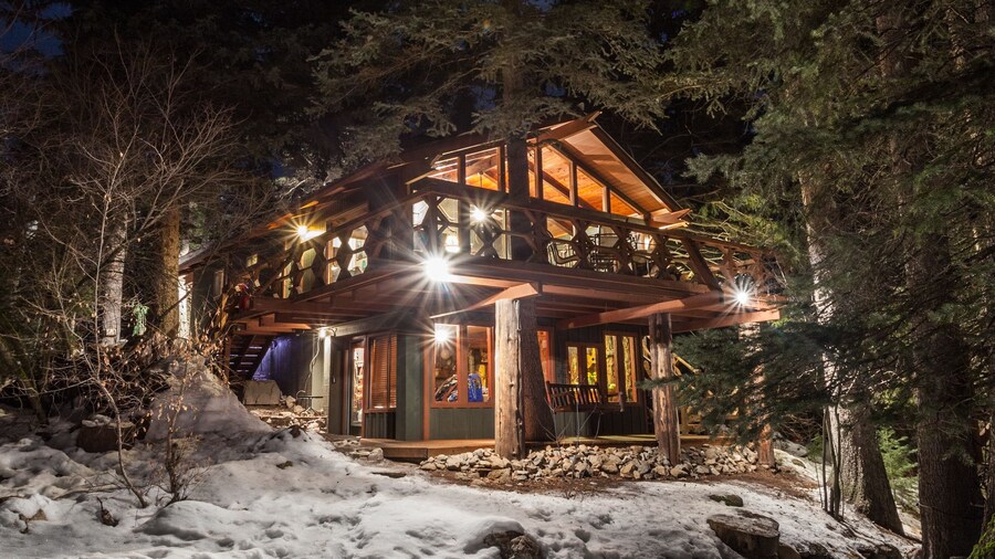 Treehouse by the Stream
