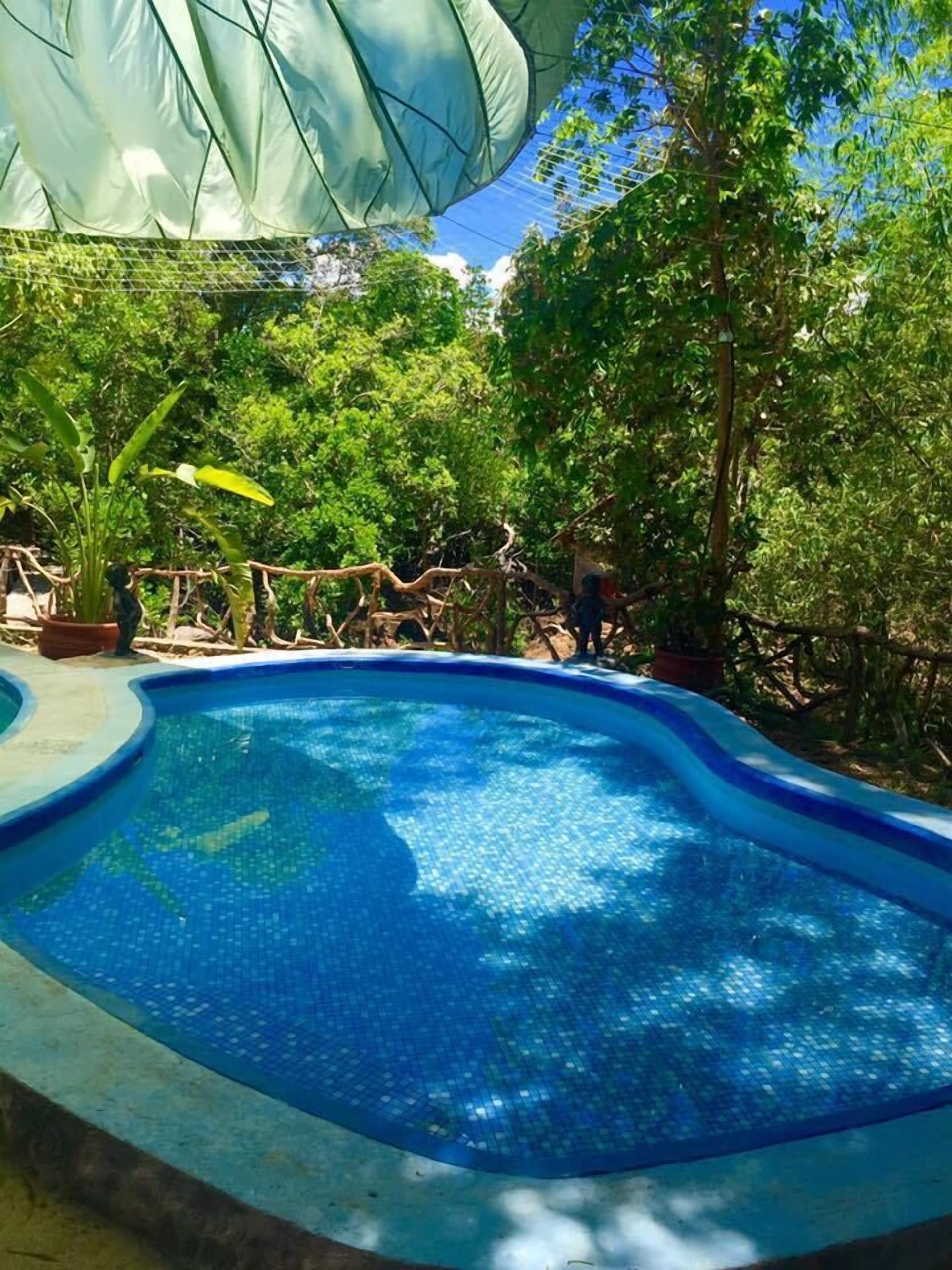 室外游泳池，提供泳池遮陽傘和日光浴躺椅