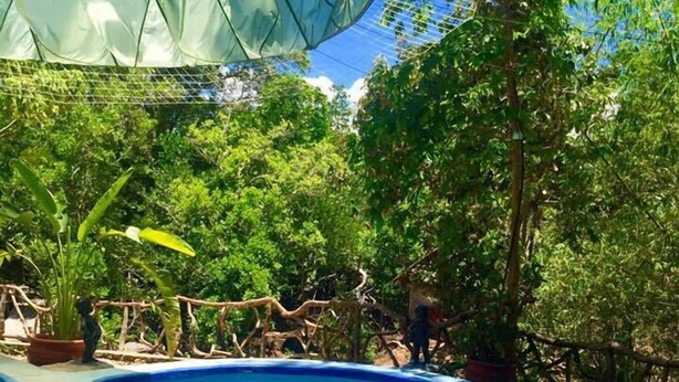Une piscine dont le bord est revêtu de carrelage, entourée d’une végétation luxuriante et d’arbres.