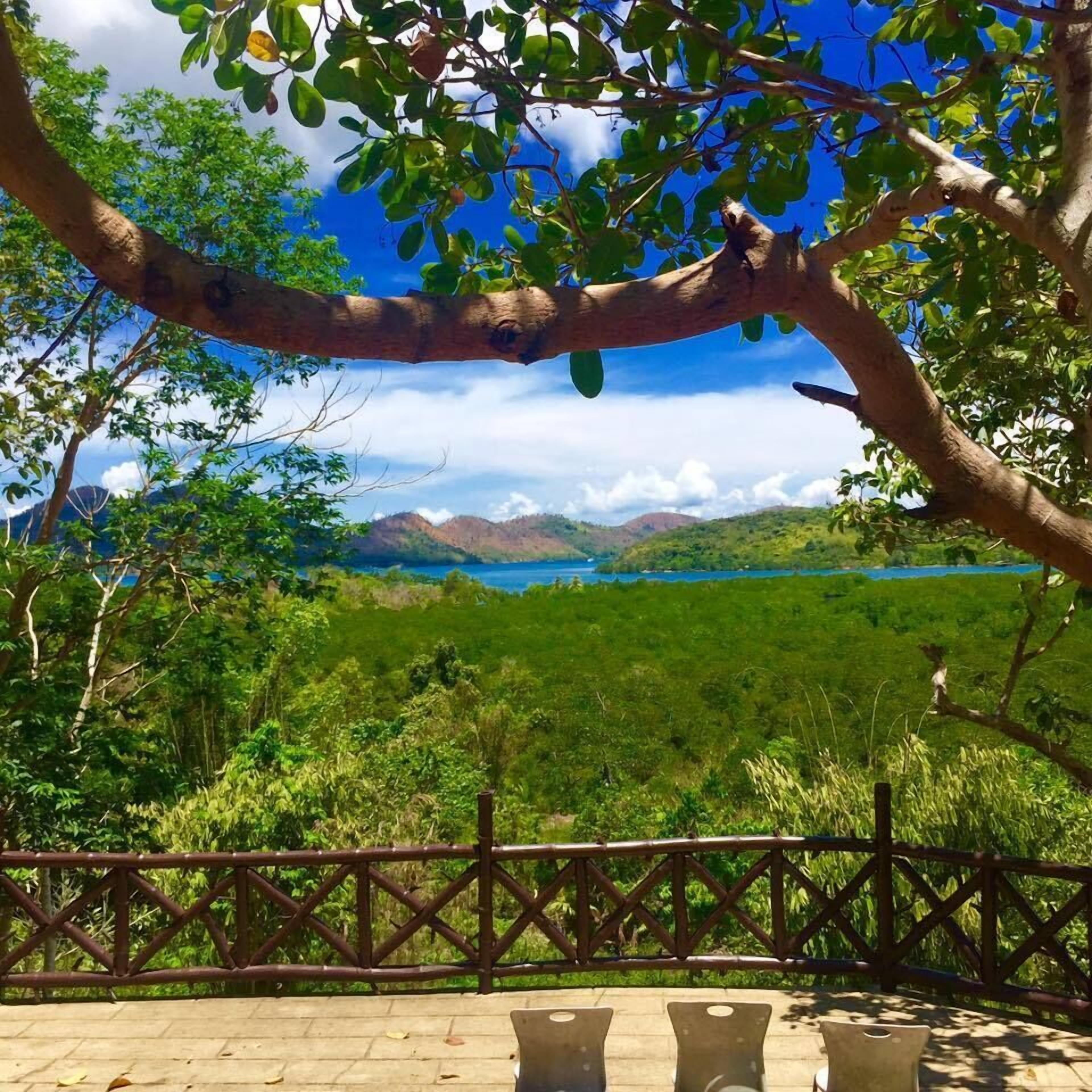 A view from a covered outdoor area with a wooden fence, overlooking a lush green landscape and a body of water with mountains in the distance.
