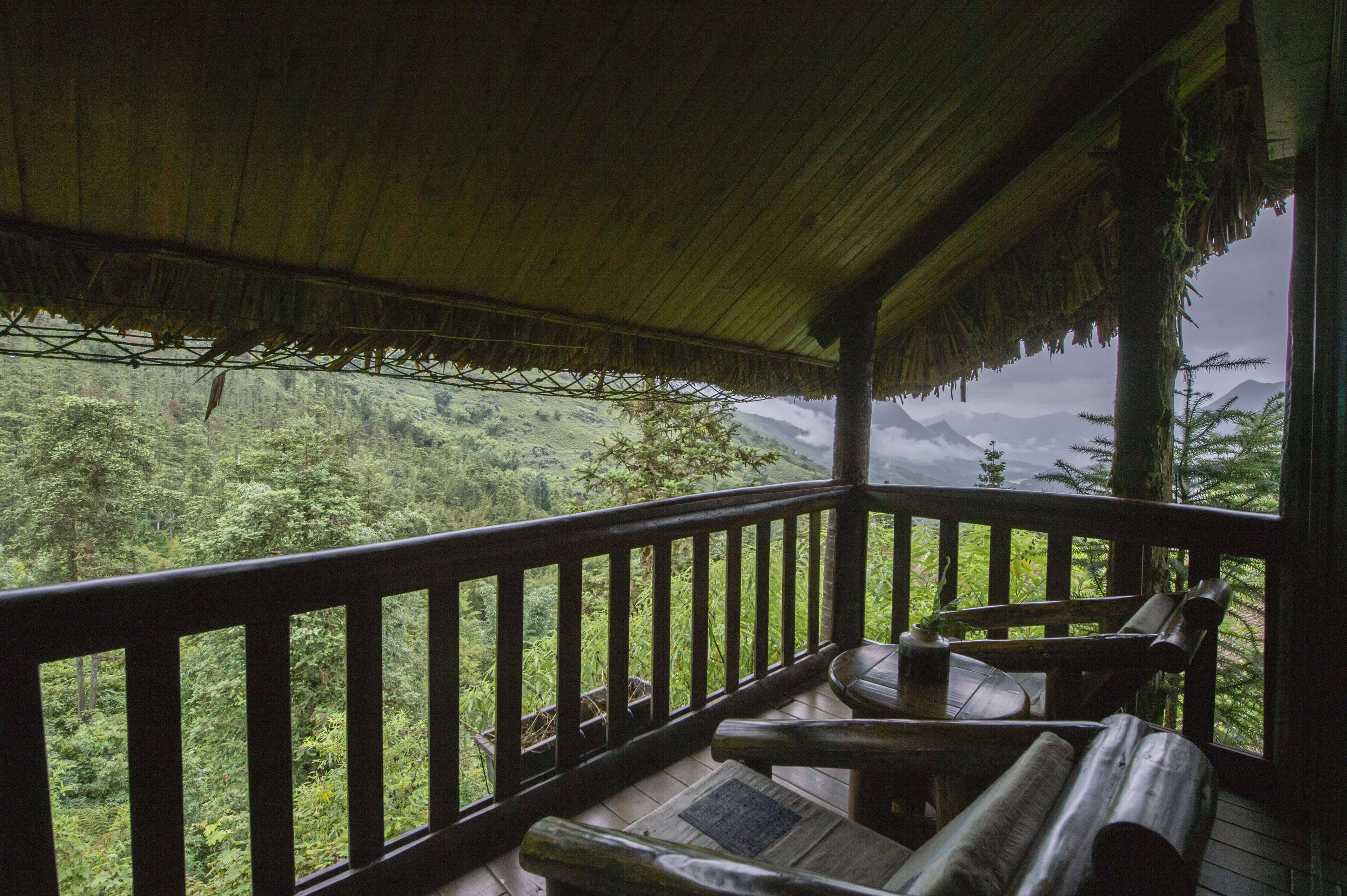 Eine Holzdar Terrasse mit einem Reetdach, mit Blick auf einen üppigen Wald.