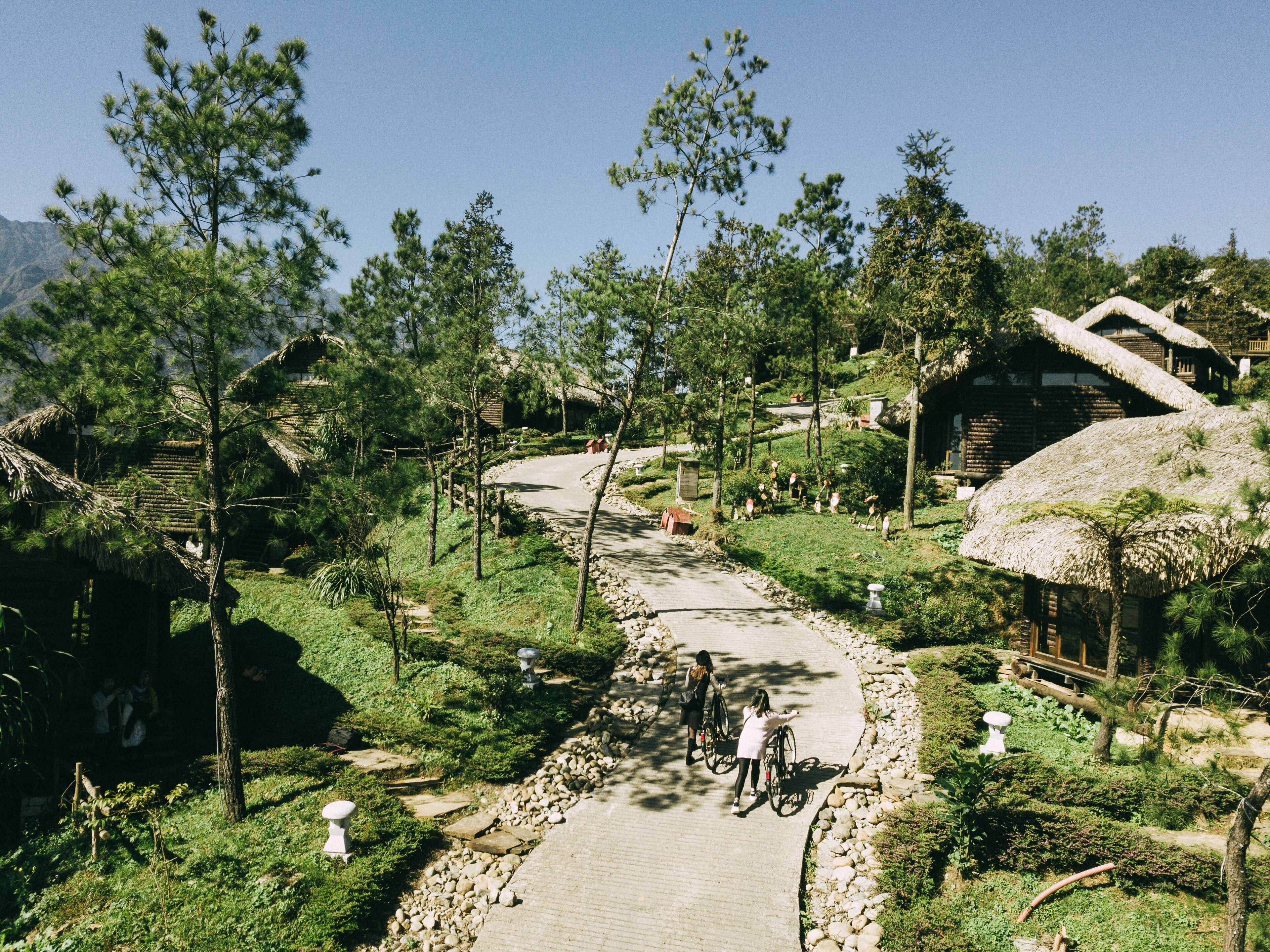 A pathway leading through a rural area with thatched-roof buildings and greenery.