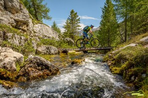 Ciclismo