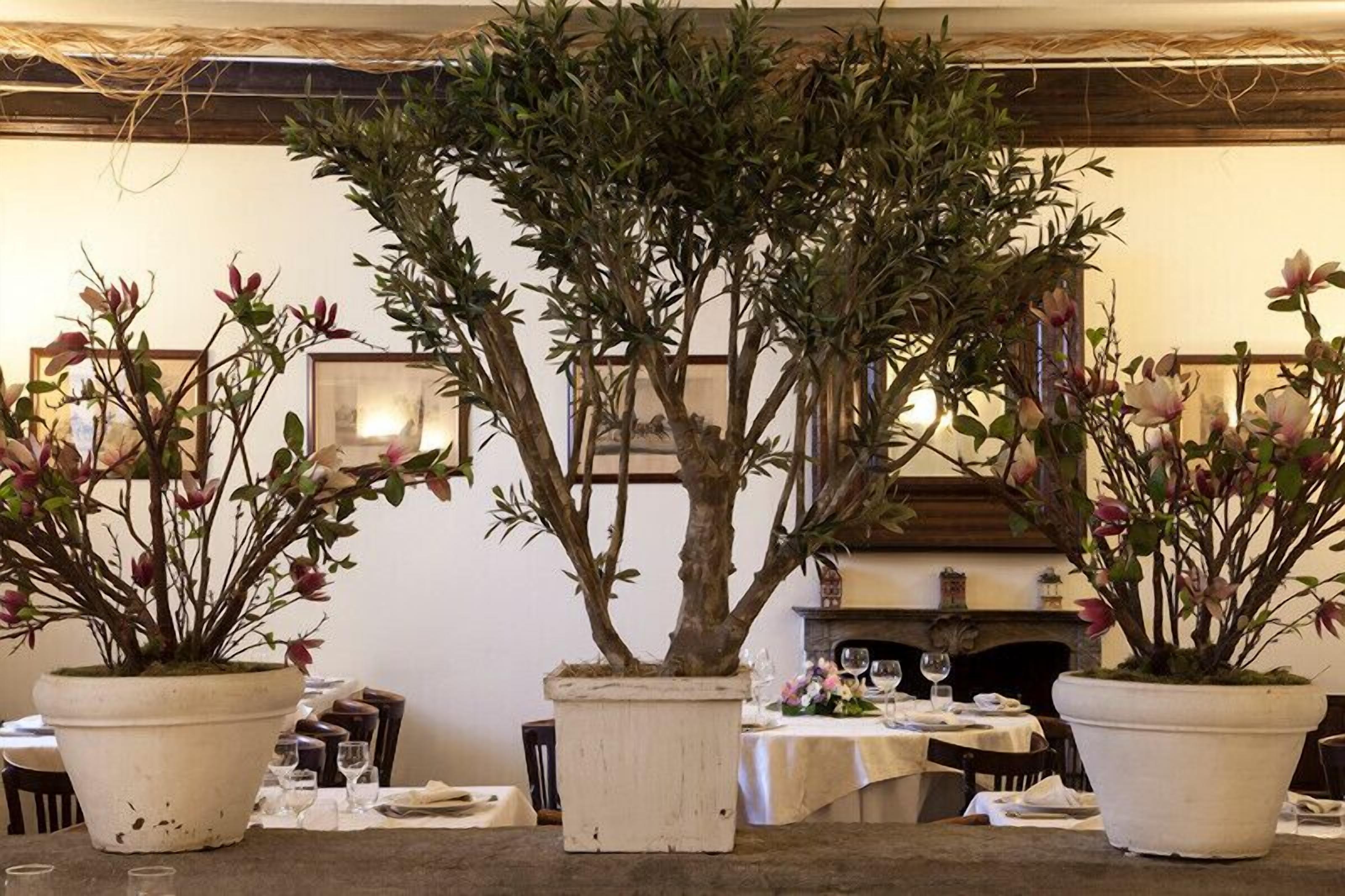 lunch and dinner served, local cuisine