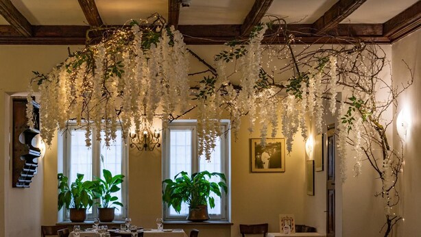 Un espace repas agrémenté de décorations florales suspendues, de plantes en pot et de poutres en bois.