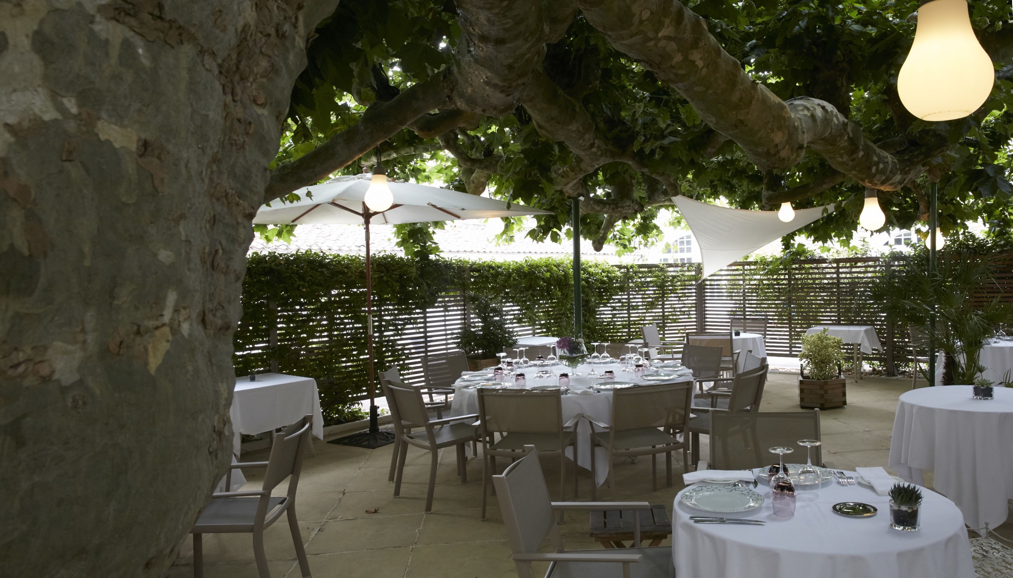 lunch, dinner served; french cuisine, al fresco dining