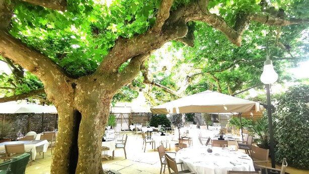 An outdoor dining area with tables and chairs under a large tree, surrounded by greenery. - Hôtel Restaurant Claude Darroze (Langon)