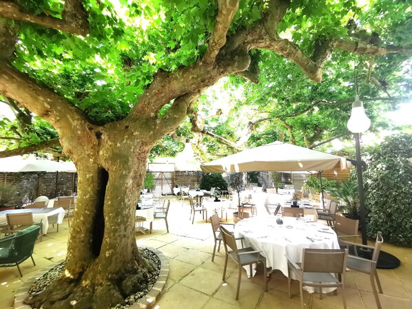 Terrace/patio - Hôtel Restaurant Claude Darroze (Langon)
