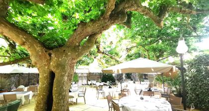 Hôtel Restaurant Claude Darroze