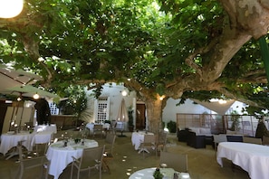 An outdoor dining area with round tables and chairs, surrounded by a large tree providing shade. - Hôtel Restaurant Claude Darroze (Langon)