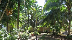 Un exuberante jardín con palmeras, un sendero y un farol.