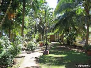 Tuin
