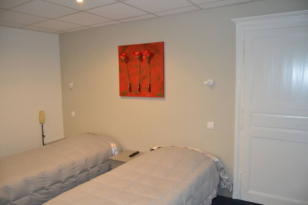 Una habitación de hotel con dos camas, un cuadro en la pared, un teléfono y una puerta.
