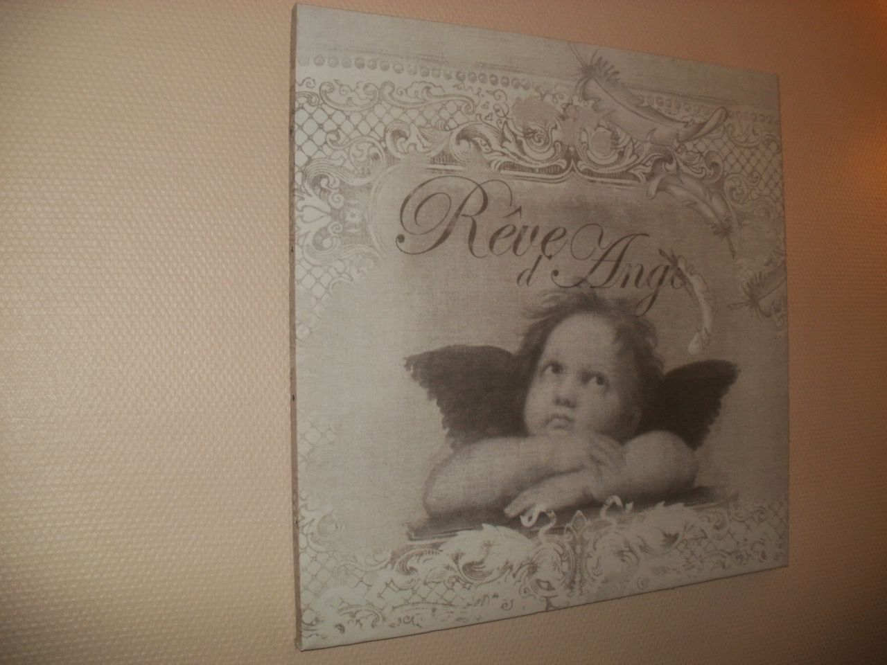 Una obra de arte enmarco con un ángel y el texto "Reve'Anges".