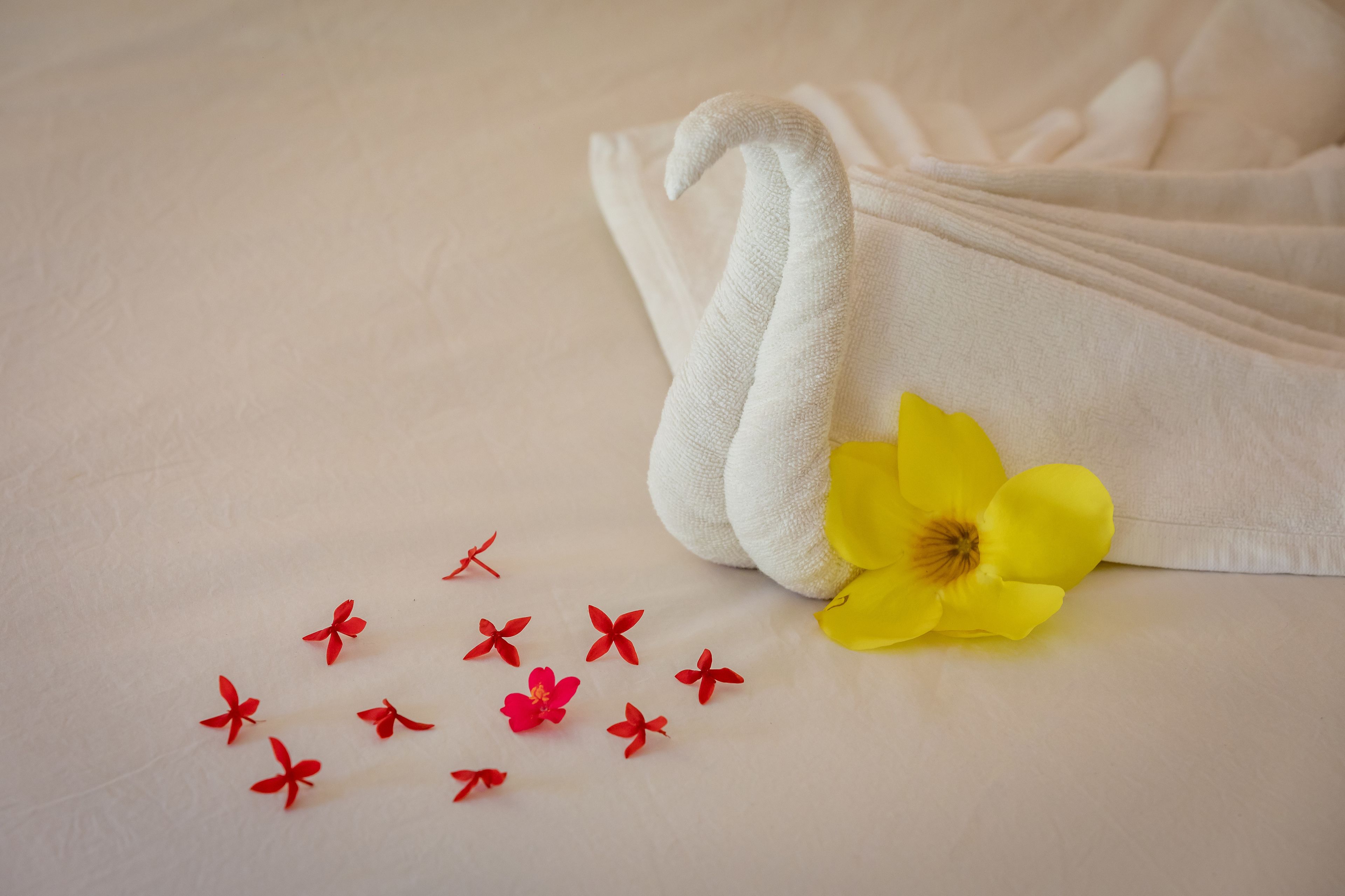 deluxe twin room | minibar, in-room safe, desk, soundproofing