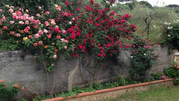 DĂ©tail de lâextĂ©rieur